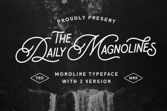 Evaluating Daily Magnolines: A Practical Guide to Style, Versatility, and Fit
