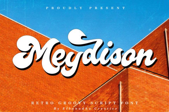 Meydison: Reviving Retro Flair in Modern Design